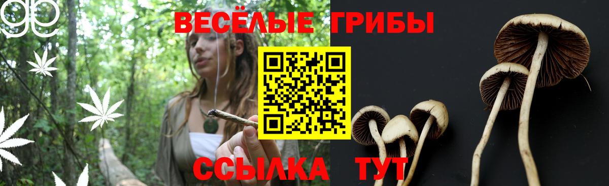 Родники  Галлюциногенные грибы Magic Shrooms  Вход с VPN 